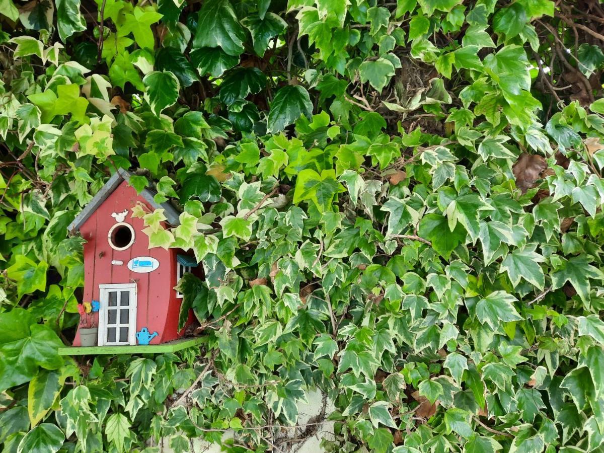 Smiling Places - Guest House In Labruge Eksteriør billede